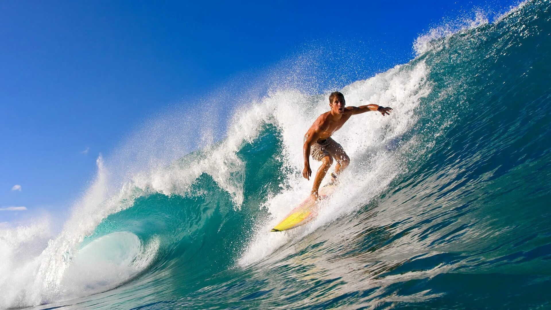 kaiyun.com-“明星对决——联盟Top5投手全场对垒，谁能笑到最后？”，明星对决综艺节目